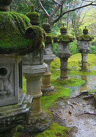  Row of pedestal lanterns at Saimyoji.[11]      