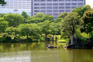 Garden in Tokyo. Koishikawa korakuen , [17]